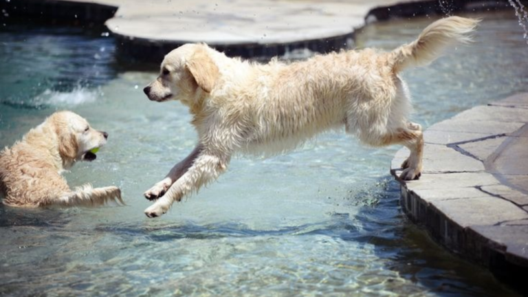 retriev air